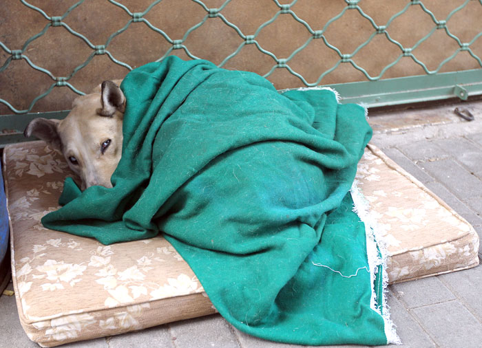 01/02/2012